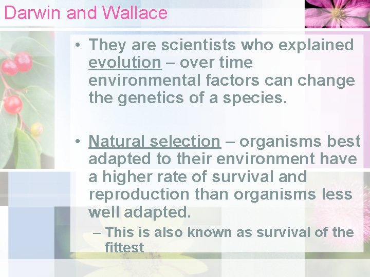 Darwin and Wallace • They are scientists who explained evolution – over time environmental