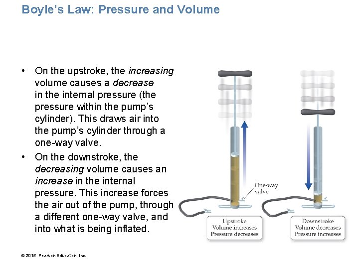 Boyle’s Law: Pressure and Volume • On the upstroke, the increasing volume causes a