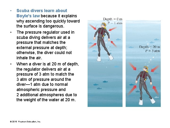  • • • Scuba divers learn about Boyle’s law because it explains why