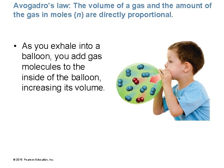 Avogadro’s law: The volume of a gas and the amount of the gas in