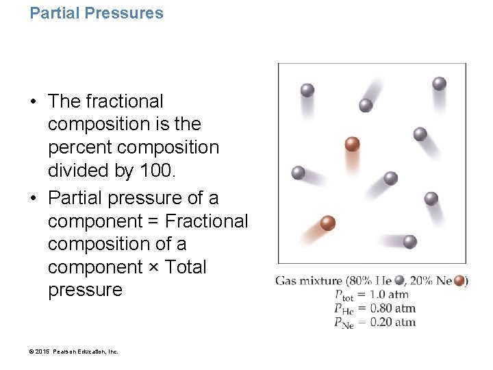 Partial Pressures • The fractional composition is the percent composition divided by 100. •
