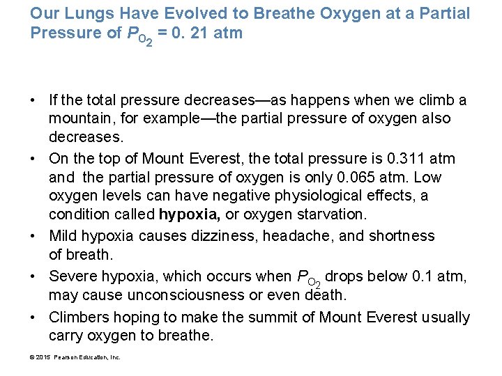 Our Lungs Have Evolved to Breathe Oxygen at a Partial Pressure of PO 2