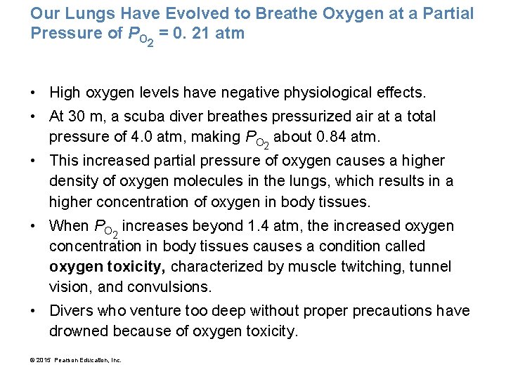 Our Lungs Have Evolved to Breathe Oxygen at a Partial Pressure of PO 2