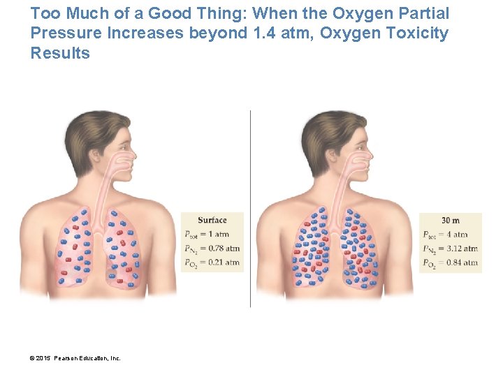 Too Much of a Good Thing: When the Oxygen Partial Pressure Increases beyond 1.