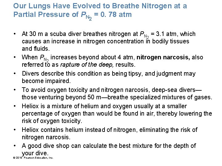 Our Lungs Have Evolved to Breathe Nitrogen at a Partial Pressure of PN 2