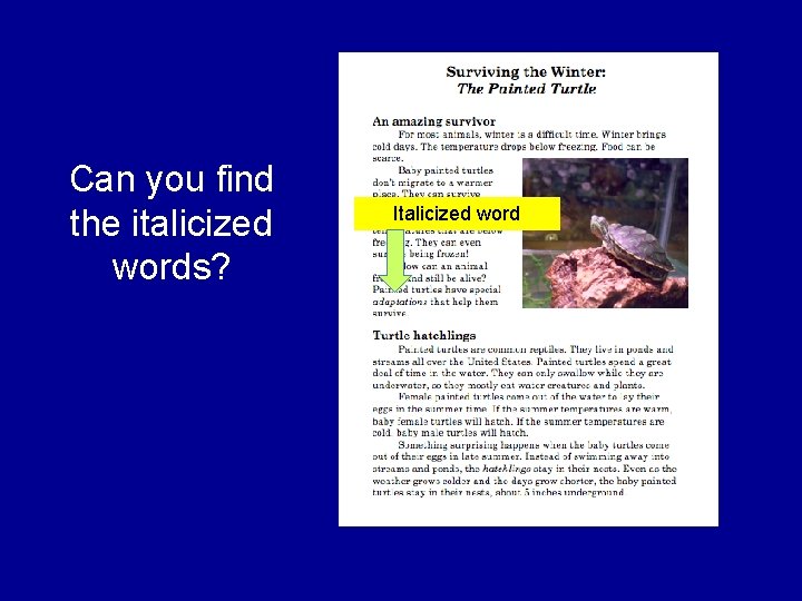 Can you find the italicized words? Italicized word 