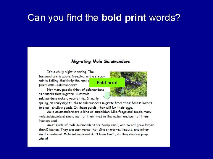 Can you find the bold print words? Bold print 