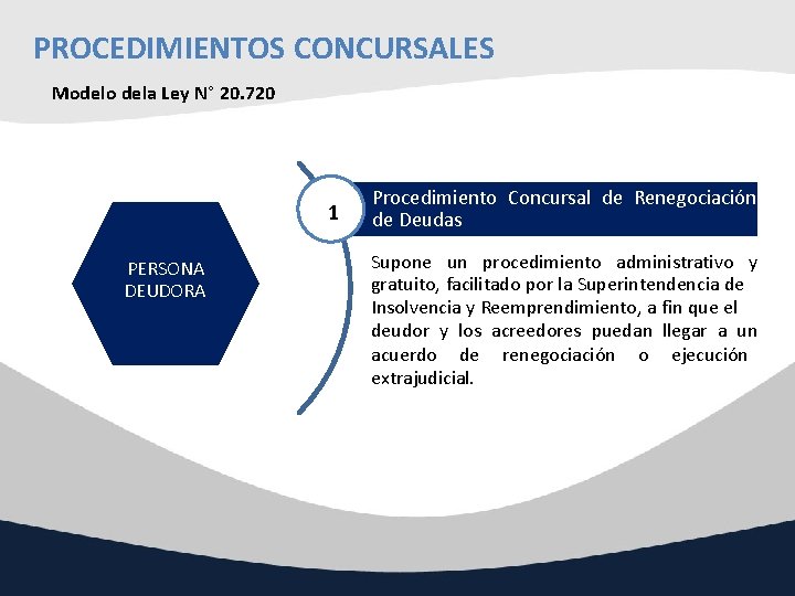 PROCEDIMIENTOS CONCURSALES Modelo dela Ley N° 20. 720 1 PERSONA DEUDORA Procedimiento Concursal de