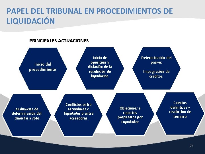 PAPEL DEL TRIBUNAL EN PROCEDIMIENTOS DE LIQUIDACIÓN PRINCIPALES ACTUACIONES Inicio del procedimiento Audiencias de