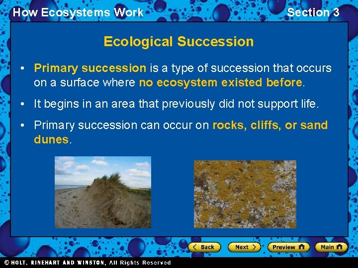 How Ecosystems Work Section 3 Ecological Succession • Primary succession is a type of