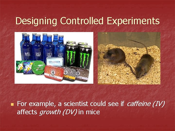 Designing Controlled Experiments n For example, a scientist could see if caffeine (IV) affects