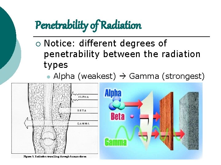 Penetrability of Radiation ¡ Notice: different degrees of penetrability between the radiation types l