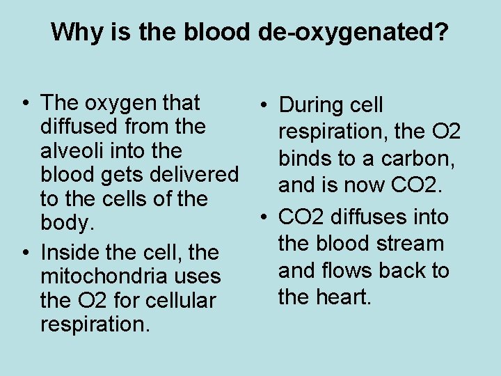 Why is the blood de-oxygenated? • The oxygen that • During cell diffused from