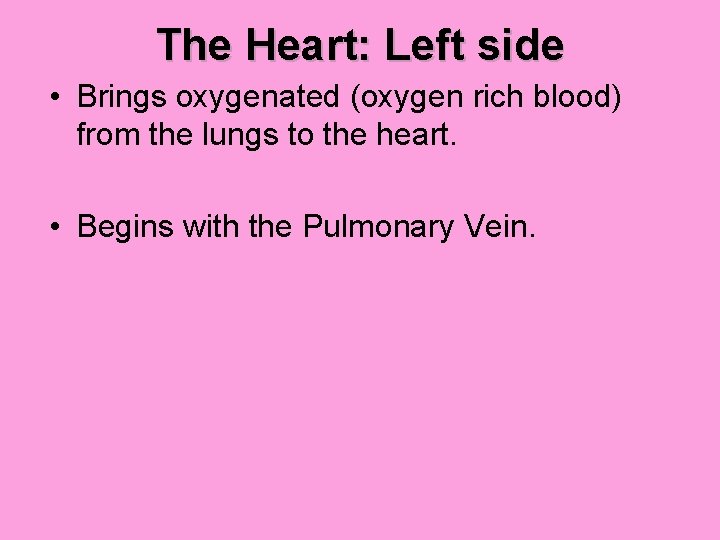 The Heart: Left side • Brings oxygenated (oxygen rich blood) from the lungs to