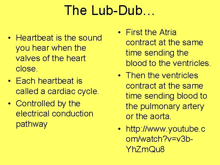 The Lub-Dub… • Heartbeat is the sound you hear when the valves of the