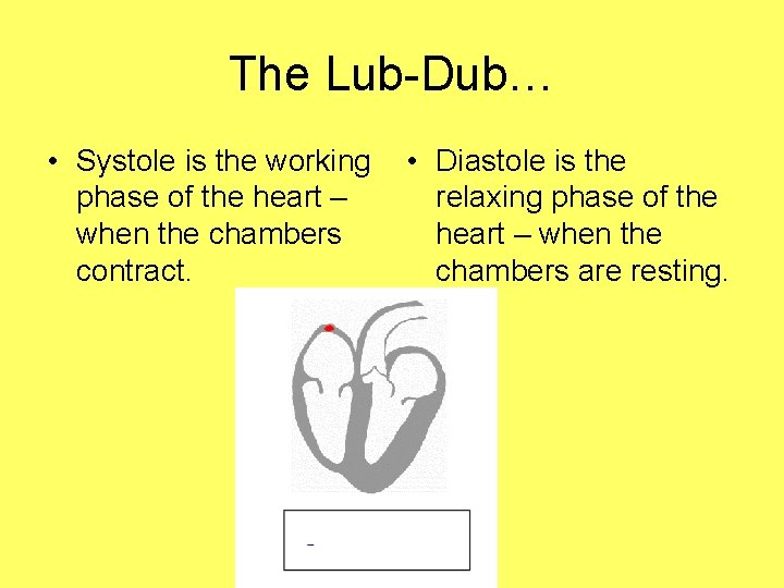 The Lub-Dub… • Systole is the working phase of the heart – when the