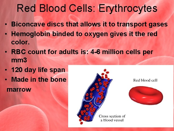 Red Blood Cells: Erythrocytes • Biconcave discs that allows it to transport gases •