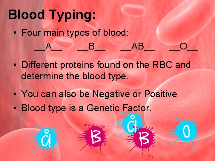 Blood Typing: • Four main types of blood: __A__ __B__ __AB__ __O__ • Different