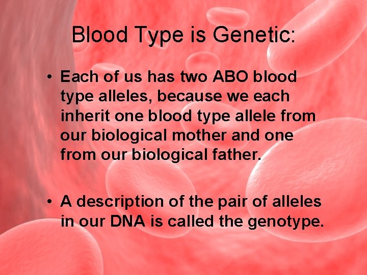 Blood Type is Genetic: • Each of us has two ABO blood type alleles,