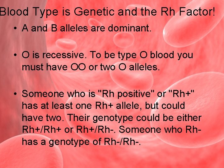 Blood Type is Genetic and the Rh Factor! • A and B alleles are