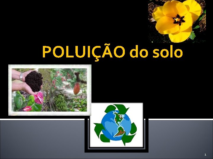 POLUIÇÃO do solo 1 