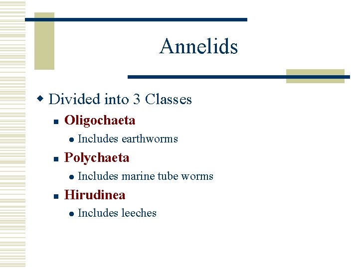 Annelids w Divided into 3 Classes n Oligochaeta l n Polychaeta l n Includes