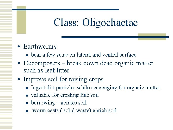 Class: Oligochaetae w Earthworms n bear a few setae on lateral and ventral surface