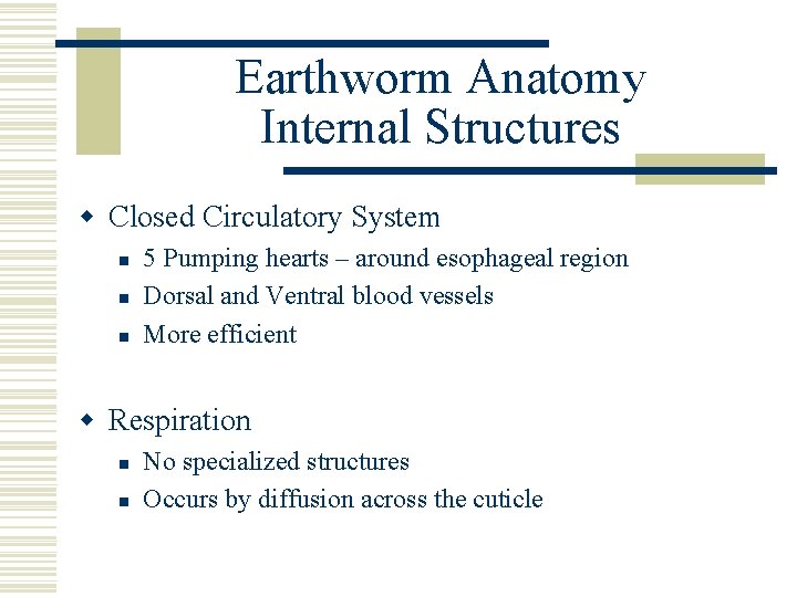 Earthworm Anatomy Internal Structures w Closed Circulatory System n n n 5 Pumping hearts