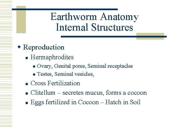 Earthworm Anatomy Internal Structures w Reproduction n Hermaphrodites Ovary, Genital pores, Seminal receptacles l