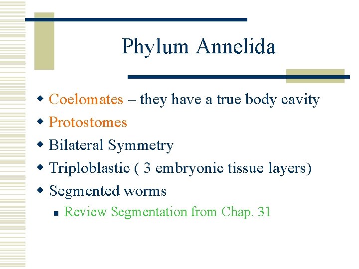 Phylum Annelida w Coelomates – they have a true body cavity w Protostomes w
