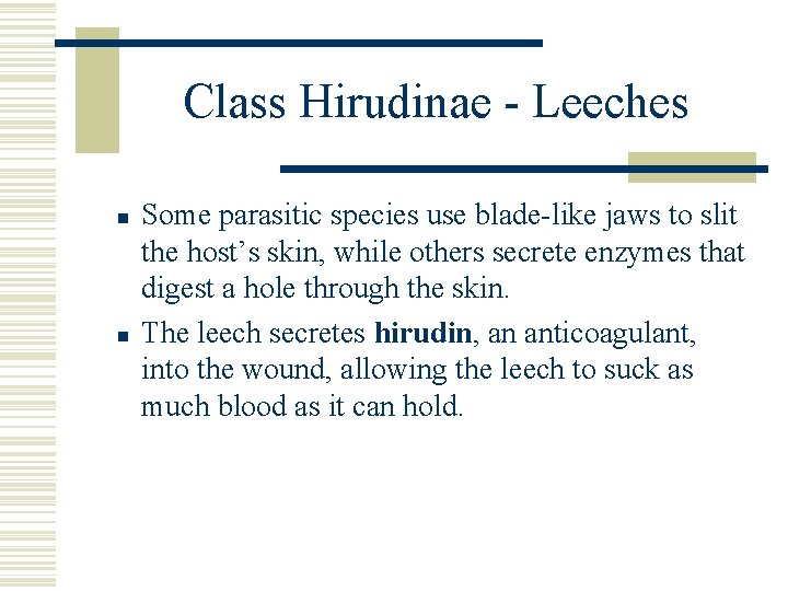 Class Hirudinae - Leeches n n Some parasitic species use blade-like jaws to slit