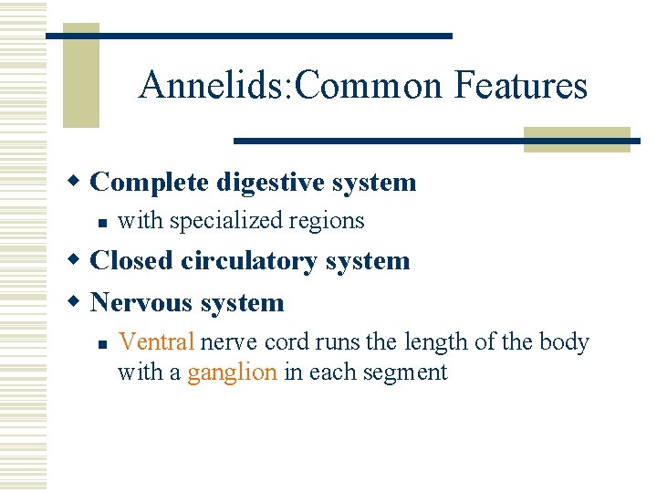 Annelids: Common Features w Complete digestive system n with specialized regions w Closed circulatory