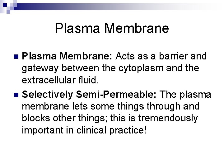 Plasma Membrane: Acts as a barrier and gateway between the cytoplasm and the extracellular