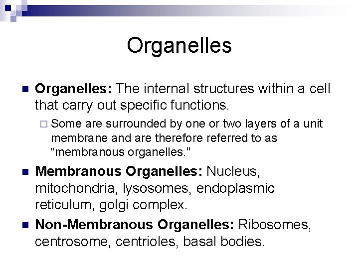 Organelles n Organelles: The internal structures within a cell that carry out specific functions.