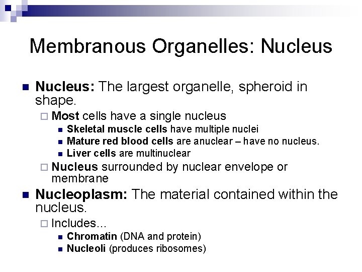 Membranous Organelles: Nucleus n Nucleus: The largest organelle, spheroid in shape. ¨ Most cells