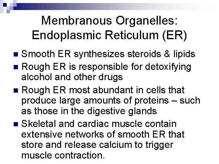 Membranous Organelles: Endoplasmic Reticulum (ER) Smooth ER synthesizes steroids & lipids n Rough ER