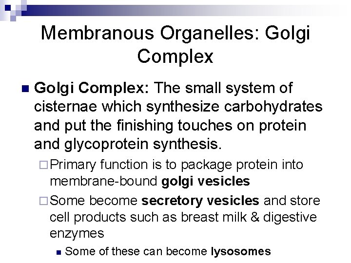 Membranous Organelles: Golgi Complex n Golgi Complex: The small system of cisternae which synthesize