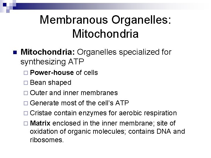 Membranous Organelles: Mitochondria n Mitochondria: Organelles specialized for synthesizing ATP ¨ Power-house ¨ Bean