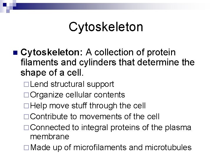 Cytoskeleton n Cytoskeleton: A collection of protein filaments and cylinders that determine the shape