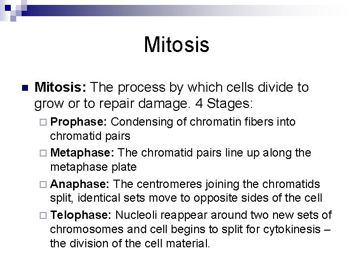 Mitosis n Mitosis: The process by which cells divide to grow or to repair