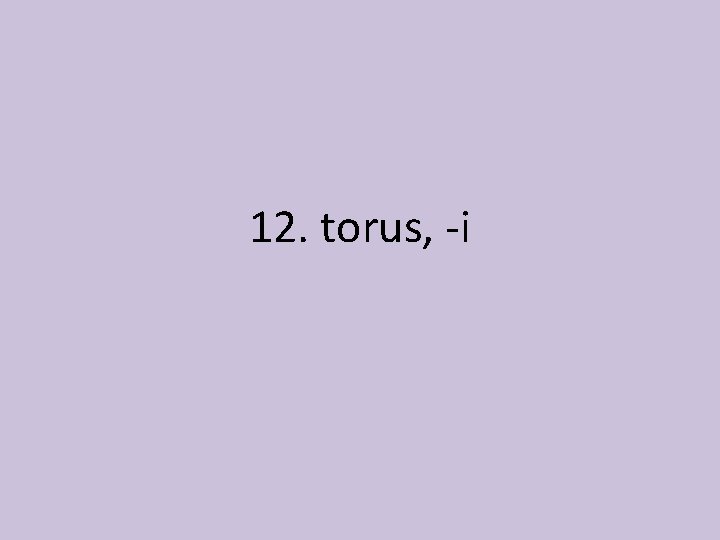 12. torus, -i 