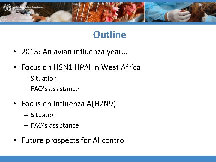 Outline • 2015: An avian influenza year… • Focus on H 5 N 1