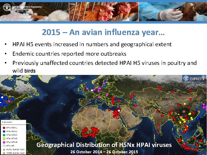 2015 – An avian influenza year… • HPAI H 5 events increased in numbers