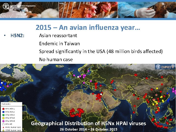 2015 – An avian influenza year… • H 5 N 2: Asian reassortant Endemic