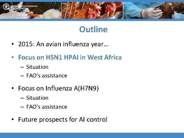 Outline • 2015: An avian influenza year… • Focus on H 5 N 1