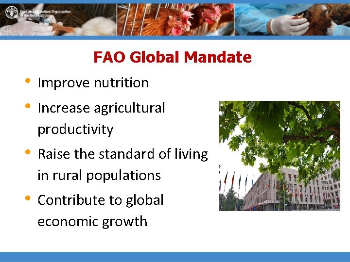 FAO Global Mandate • • Improve nutrition • Raise the standard of living in