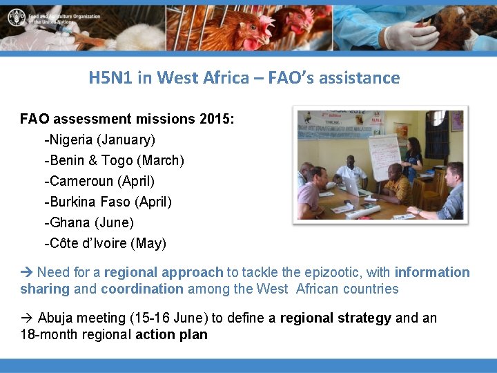 H 5 N 1 in West Africa – FAO’s assistance FAO assessment missions 2015: