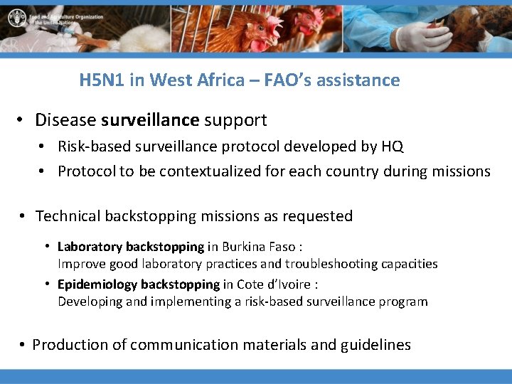 H 5 N 1 in West Africa – FAO’s assistance • Disease surveillance support
