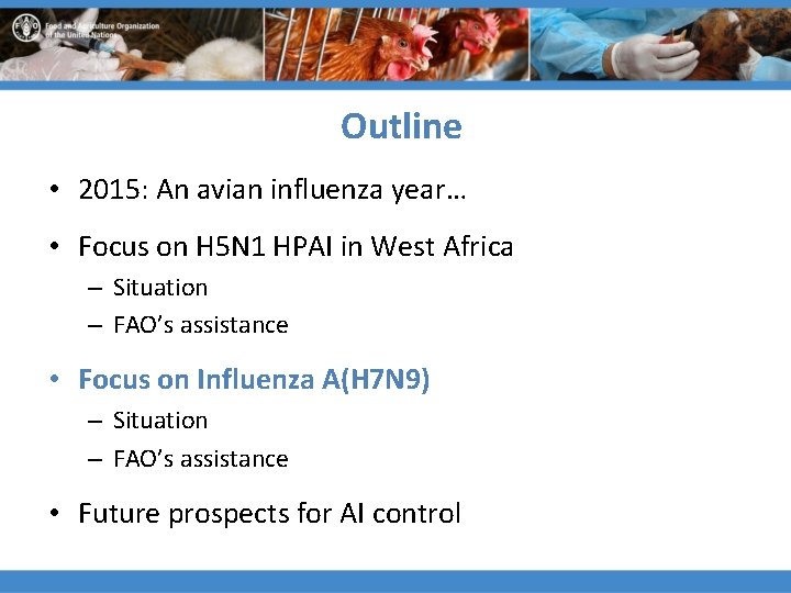 Outline • 2015: An avian influenza year… • Focus on H 5 N 1