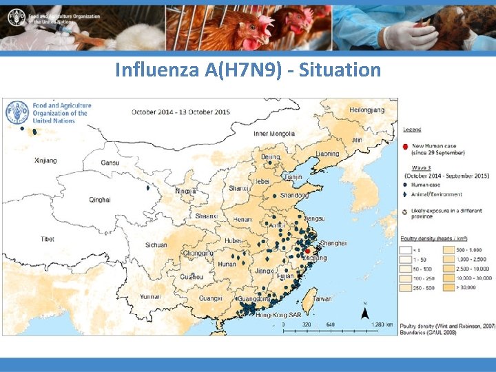 Influenza A(H 7 N 9) - Situation 